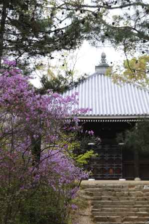 色の奥に進むと...