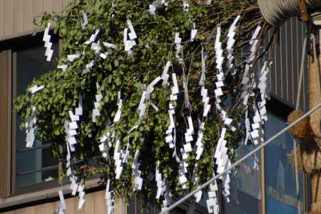 月鉾の榊アップ