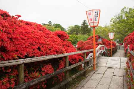 長岡天満宮　太鼓橋まで