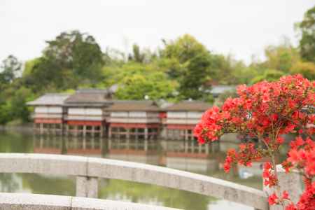 長岡天満宮　八条が池