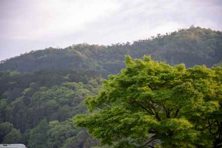 嵐山　街中から眺む