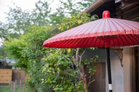 中之島公園　赤和傘