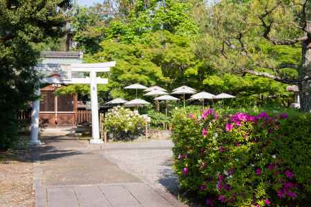 乙訓寺　鳥居と和傘