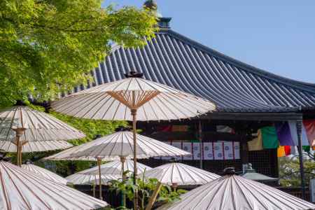 乙訓寺　本堂と和傘