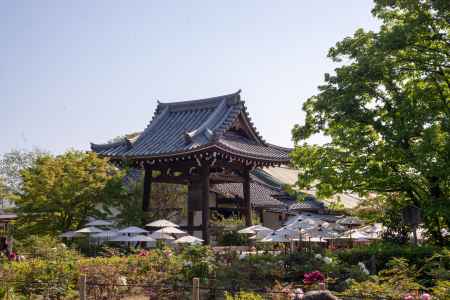 乙訓寺　鐘楼に浮かぶ傘