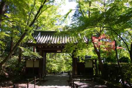 光明寺　薬医門まで２