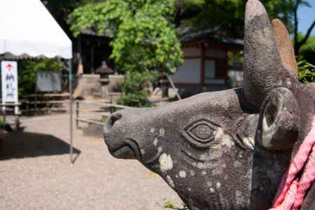 長岡天満宮　牛の像
