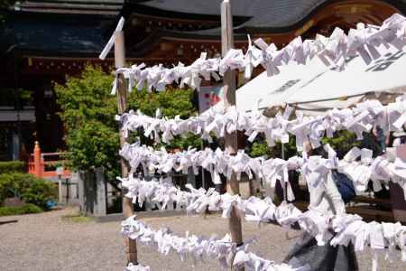 長岡天満宮　おみくじ