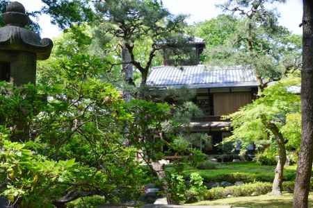 旧三井家下鴨別邸　広がる庭園