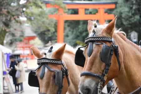 鳥居と馬車