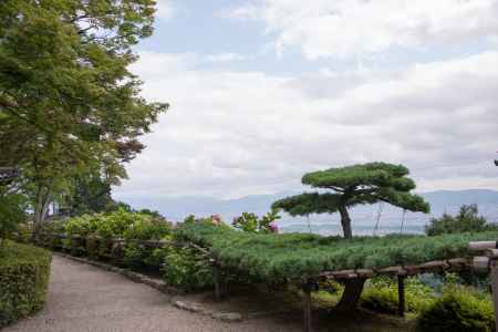 善峯寺　遊龍の松から望む京都