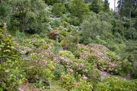 善峯寺　一面に広がる初夏の色