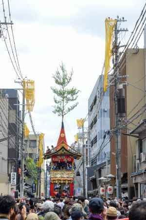 曳初め　岩戸山を迎える
