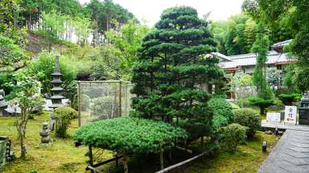 三寳寺 土用の丑祈祷会-01789