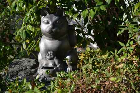 退蔵院　招き猫