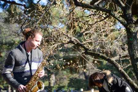 御苑　春の音色