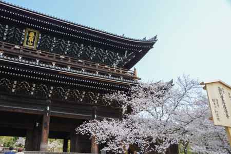 日本最大級の三門