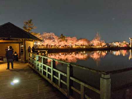 長岡天満宮　3月28日のライトアップ2