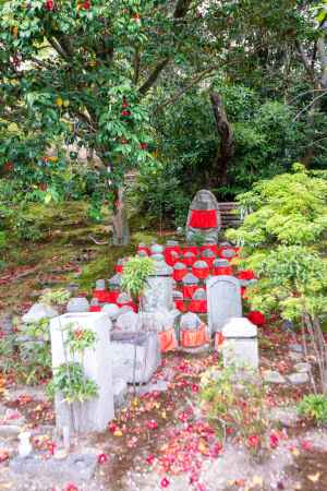 法金剛院　椿と石仏群