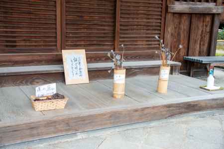 法金剛院　蓮のうてな