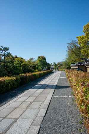 妙心寺　悟りへの道