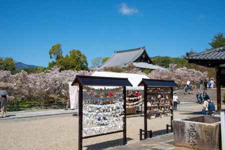 仁和寺　縁を結ぶ
