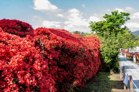 長岡天満宮　赤　盛り沢山