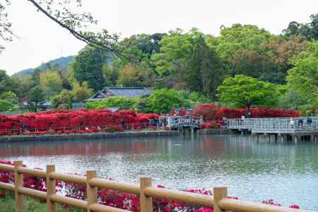 長岡天満宮　池の畔の赤の道
