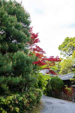 長岡天満宮　佇み　趣き