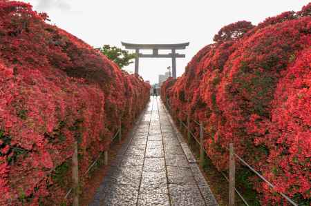 長岡天満宮　早朝の赤の壁