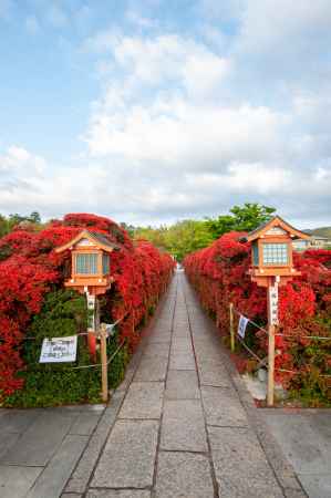 長岡天満宮　霧島ロード