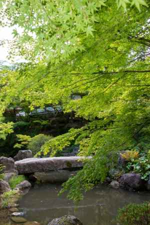 長岡天満宮　水面の青もみじ