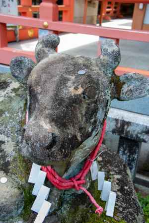 長岡天満宮　りりしいお顔