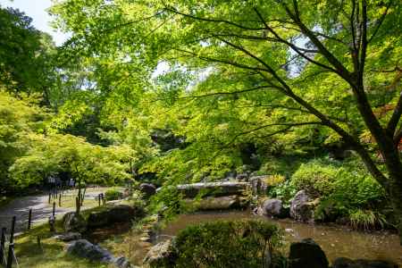 長岡天満宮　新緑のひととき