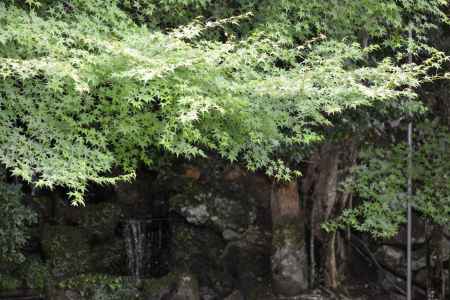 寂光院　青の空間