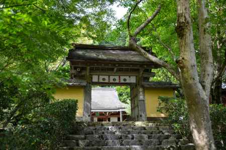 寂光院　青紅葉に包まれた門