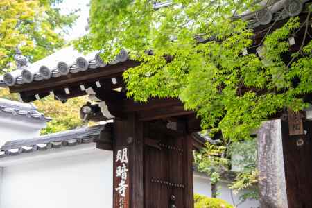 東福寺塔頭　明暗寺　緑の門前