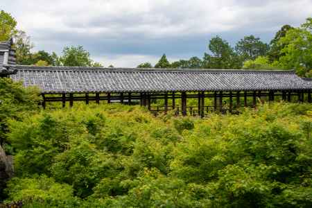 東福寺　緑中散歩