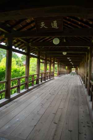 東福寺　緑の通天橋