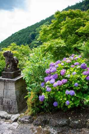 山の自然に包まれて