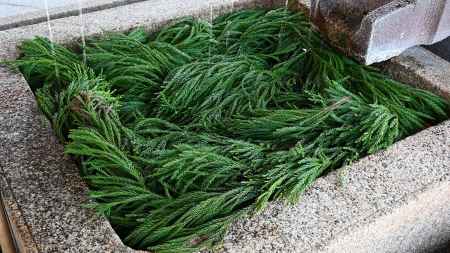 八坂神社　手水