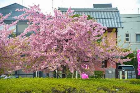 駅前から　春始まる