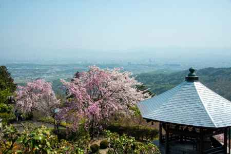 京都を見下ろす