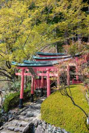 善峯寺の稲荷社