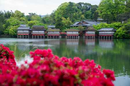 ツツジ越しの錦水亭