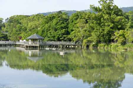 見渡すかぎりの緑の世界