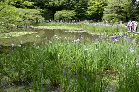 花も人もいっぱいです