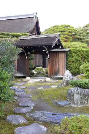 ゆっくりとした歩みで