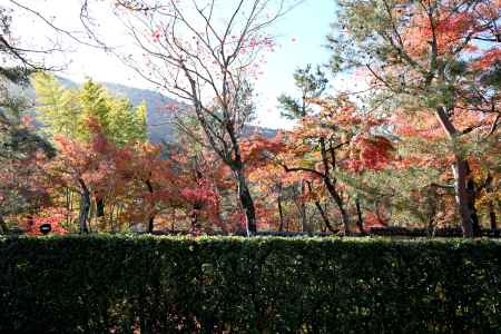 垣根ごしの宝厳院