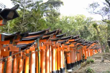 千本鳥居の横顔